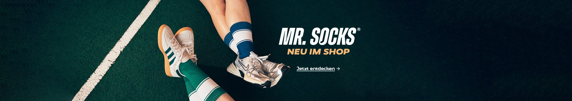Willkommen Mr. Socks
