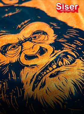 Jetzt neu bei uns! Siser – Heat Transfer Vinyl.