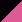 BLNPI - black/neon pink