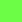 GK - green gecko