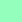 MIN - mint green