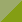JGRACYE - jungle green/acid yellow