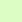447 - Neon Green
