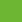 441 - Neon Green