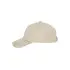 Daiber 6 Panel Dad Cap Organic Cotton - MB6256