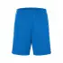 Daiber Basic Team Shorts - JN387