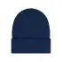 Daiber Beanie with Patch (10cm x 5 cm) - Thinsulate - MB7407