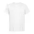 Promodoro Men's Premium-T Organic - 3090