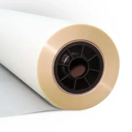 Kodak Kodacolor | DTF Hot Peel Film