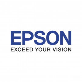 Epson Cleaning Cartridge für GSX/GS2-Tinten 