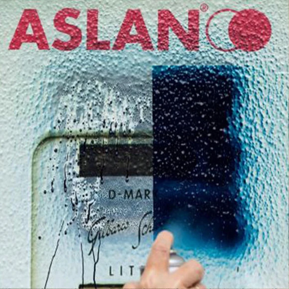 Aslan MagicProtect ASLAN SL 99 Matt