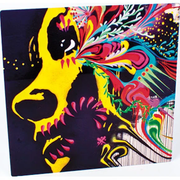 ChromaLuxe Fototafel Alu