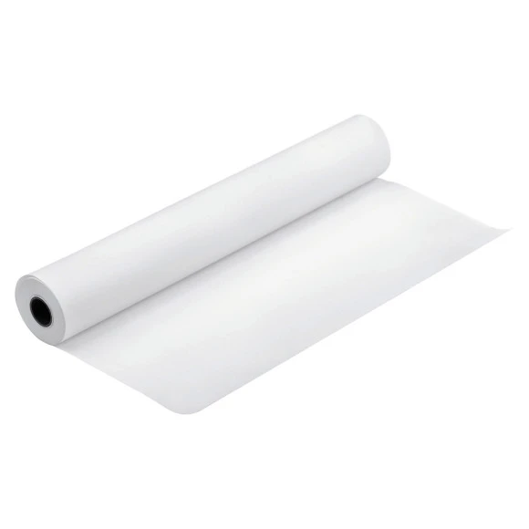 Epson DS Transfer Multi-Purpose II