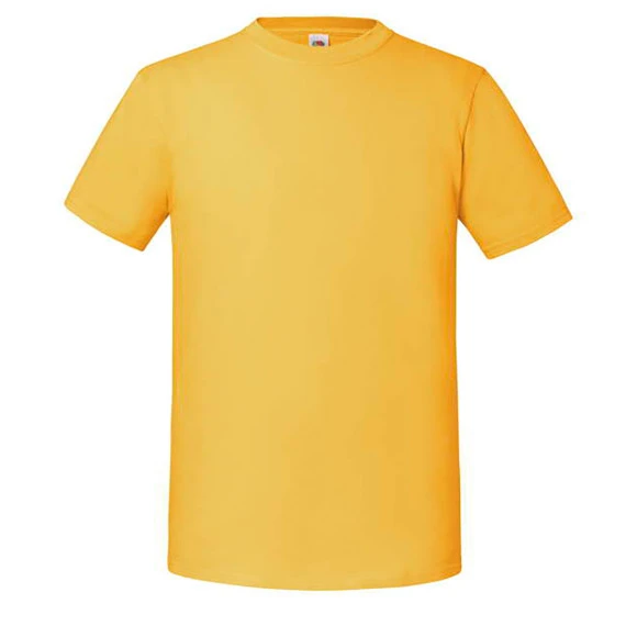 Fruit of the Loom Iconic 195 Ringspun Premium T - 61-422-0