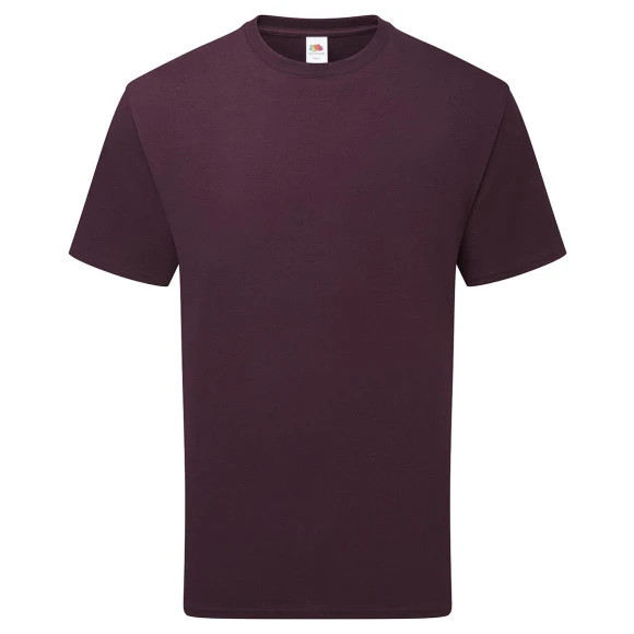 Fruit of the Loom Pure Cotton T - 61-362-0