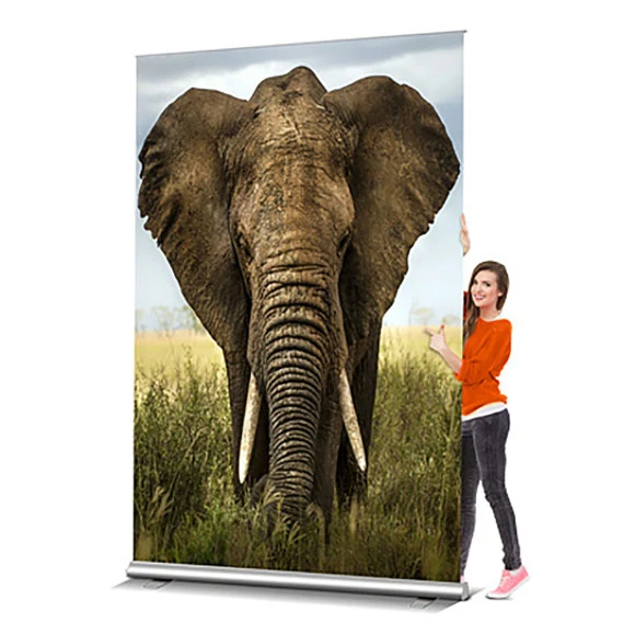 GRONAL® Roll-Banner XXL