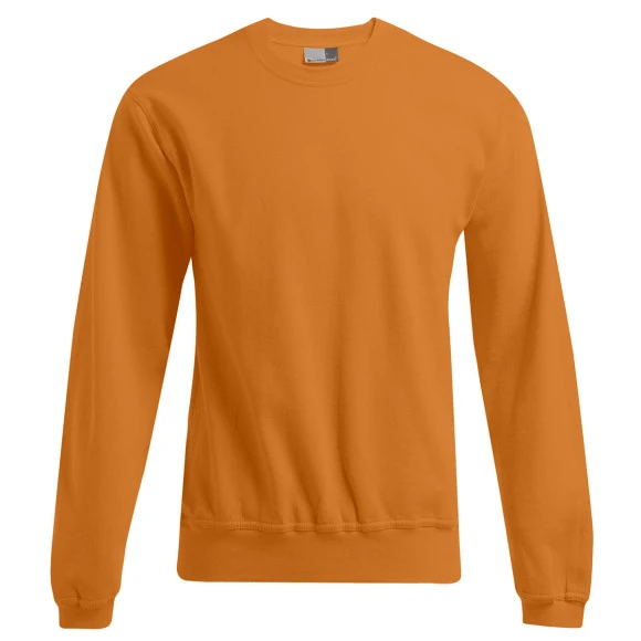 Promodoro Men’s Sweater 80/20 - 2199