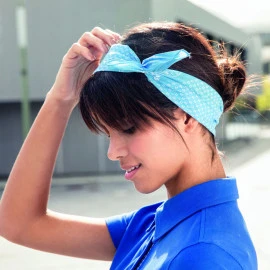 Daiber Traditional Bandana - MB6400 