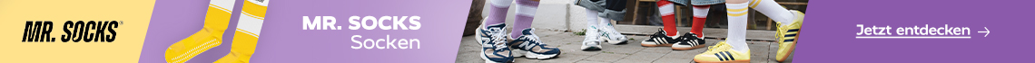 Mr. Socks Socken.