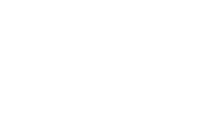 VersiFlex™